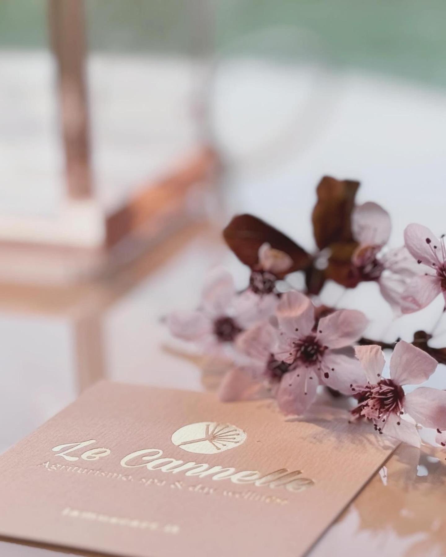 Вилла Agriturismo "Le Cannelle" Spa & Day Wellness Фоссомброне Экстерьер фото